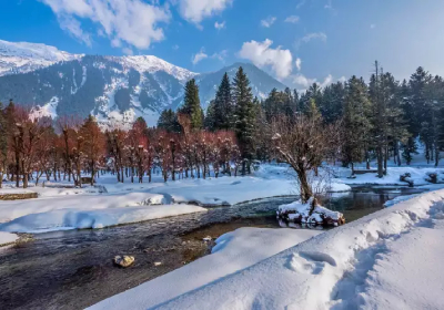 6 Nights 7 Days Kashmir Tour