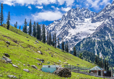 Srinagar Sonmarg Pahalgam Gulmarg 7 Days Tour